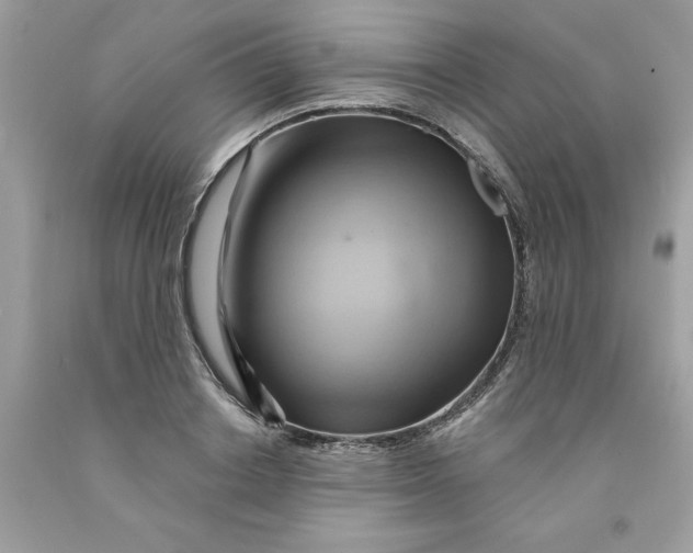 X0000091590842200709101038