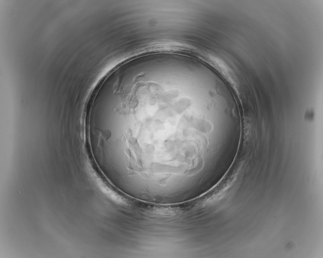 X0000091590843200709101038