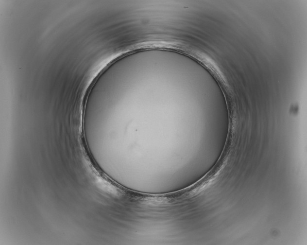 X0000091590844200709101038