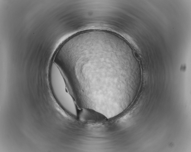 X0000091590846200709101038