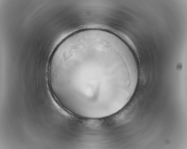 X0000091590847200709101038