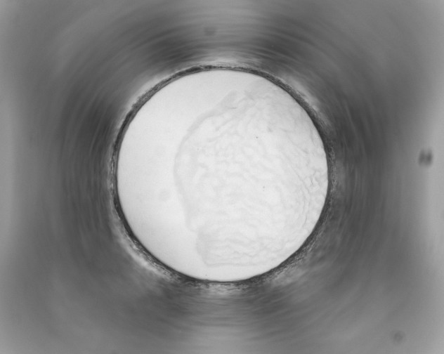 X0000091590848200709101038