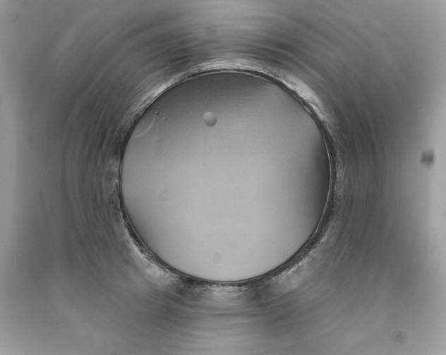 X0000091590849200709101039