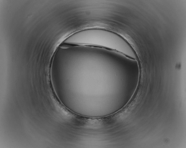 X0000091590850200709101039