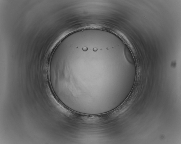 X0000091590851200709101039