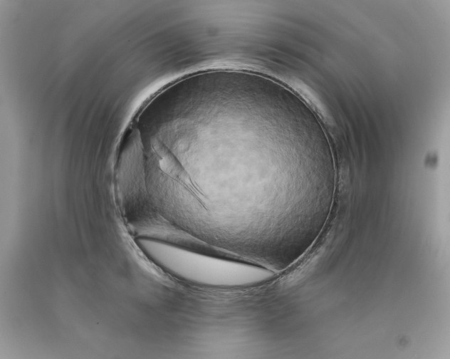 X0000091590854200709101039