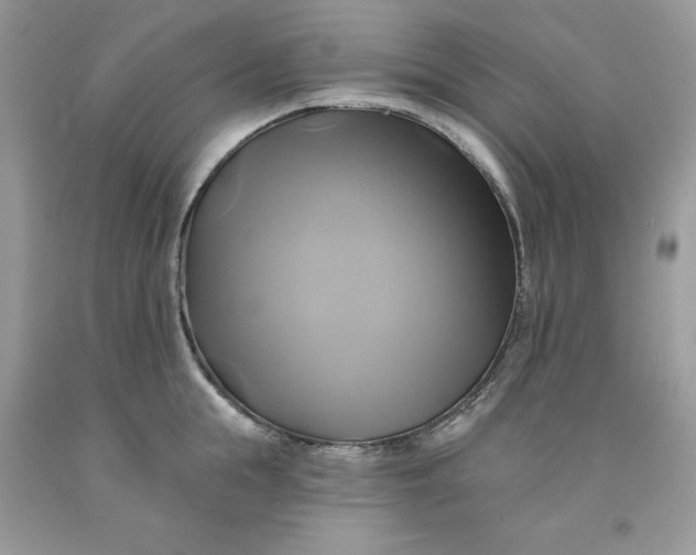 X0000091590855200709101039