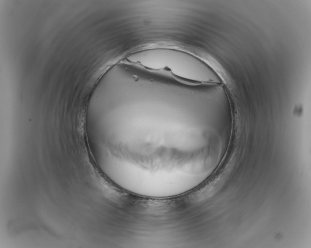 X0000091590857200709101039