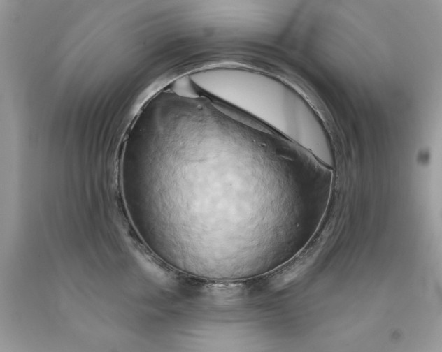 X0000091590858200709101039