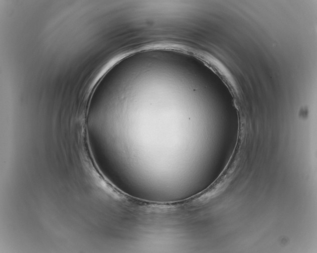 X0000091590860200709101039