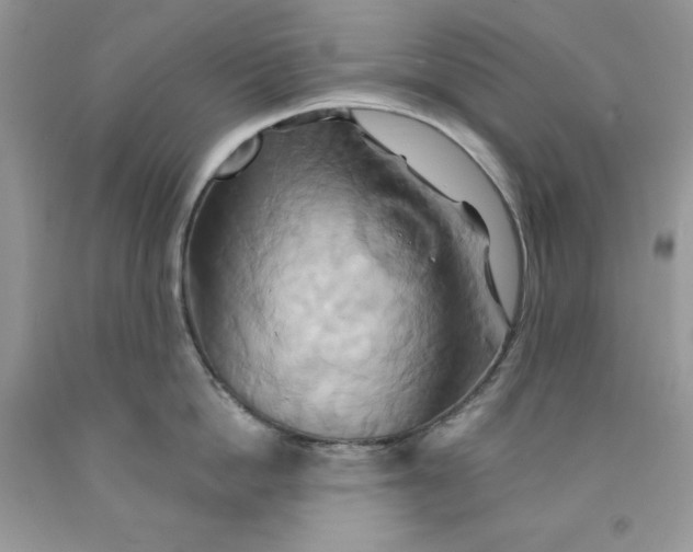 X0000091590862200709101039