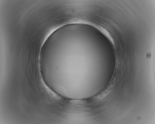 X0000091590863200709101039