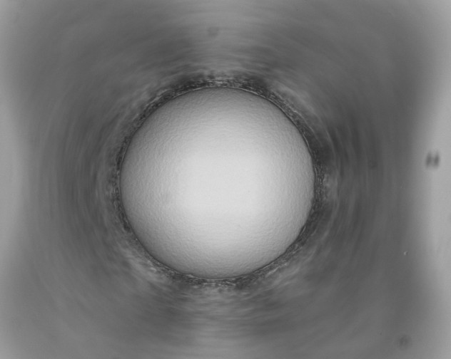 X0000091590865200709101038