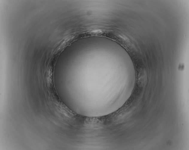 X0000091590866200709101038