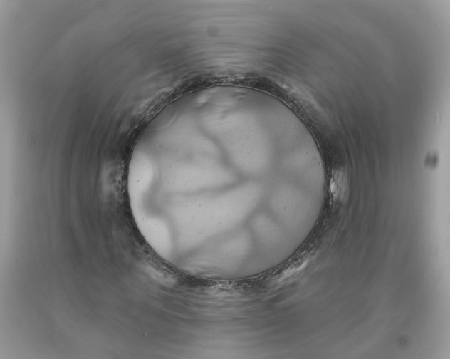 X0000091590867200709101038