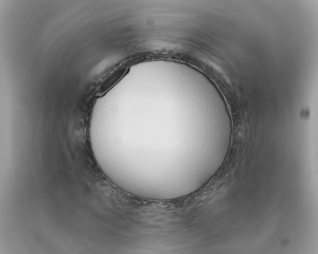 X0000091590869200709101038