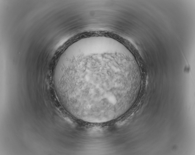 X0000091590871200709101038