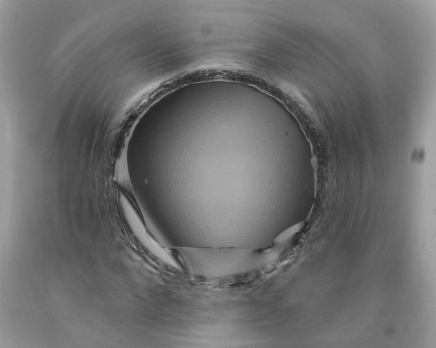 X0000091590872200709101038