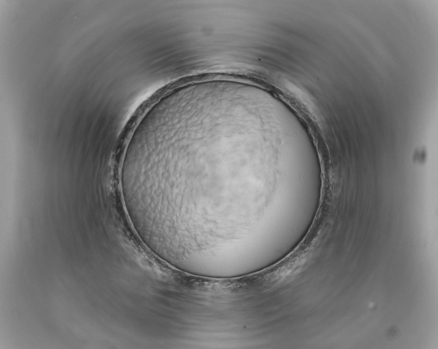 X0000091590875200709101038