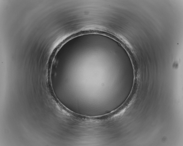 X0000091590877200709101038