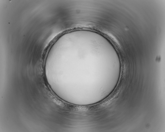 X0000091590878200709101038