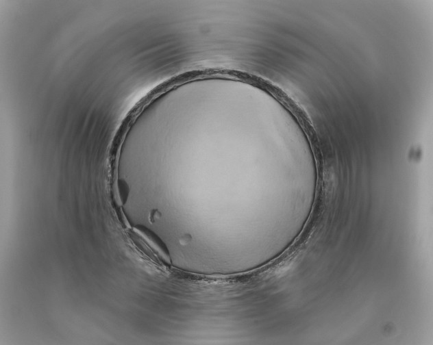 X0000091590879200709101038