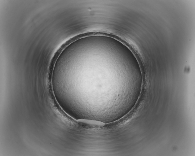 X0000091590880200709101038