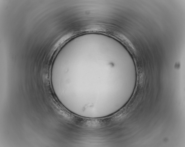 X0000091590882200709101038