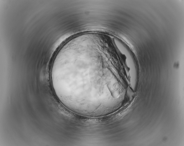 X0000091590883200709101038