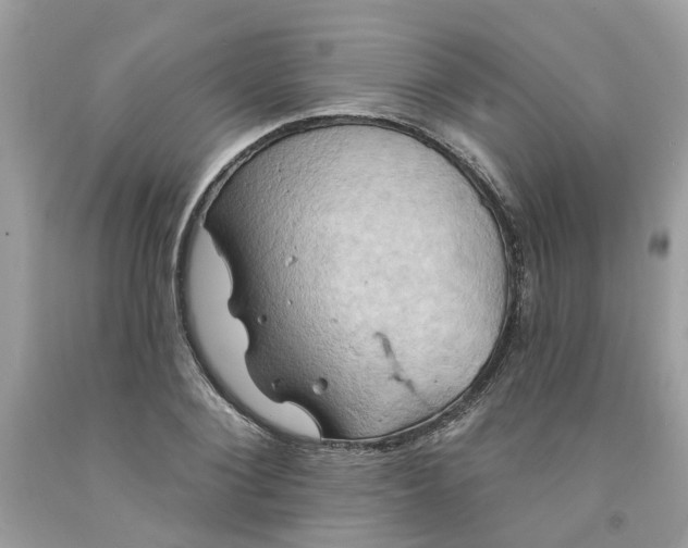 X0000091590884200709101038