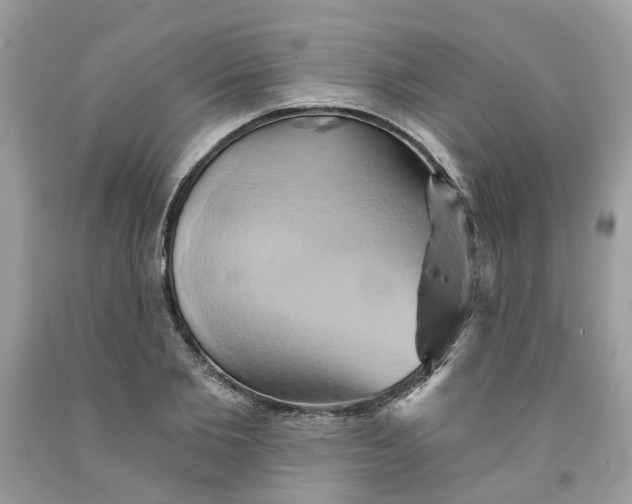 X0000091590885200709101038