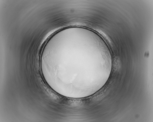 X0000091590886200709101038