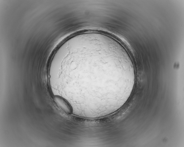 X0000091590887200709101038