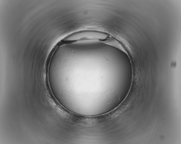 X0000091590888200709101038