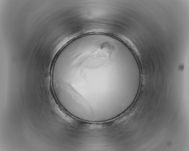 X0000091590890200709101038