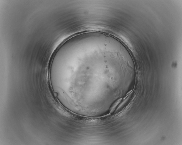 X0000091590891200709101038