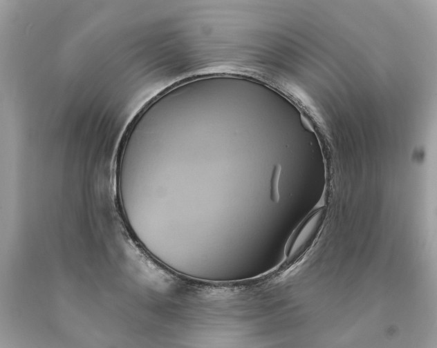 X0000091590892200709101038