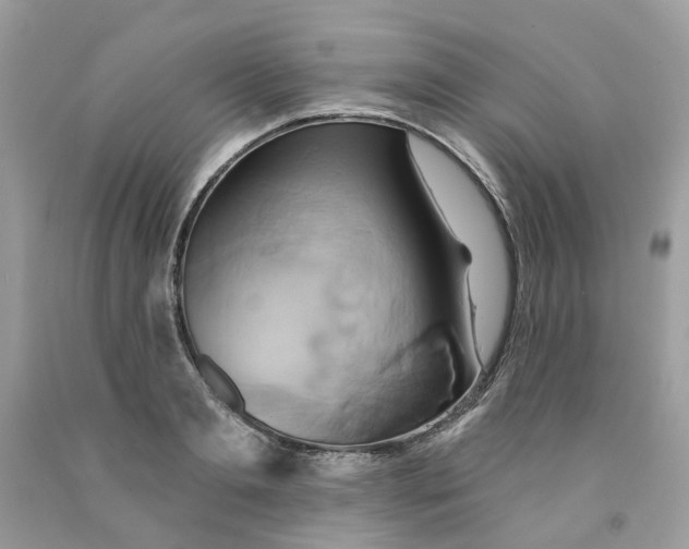 X0000091590893200709101038