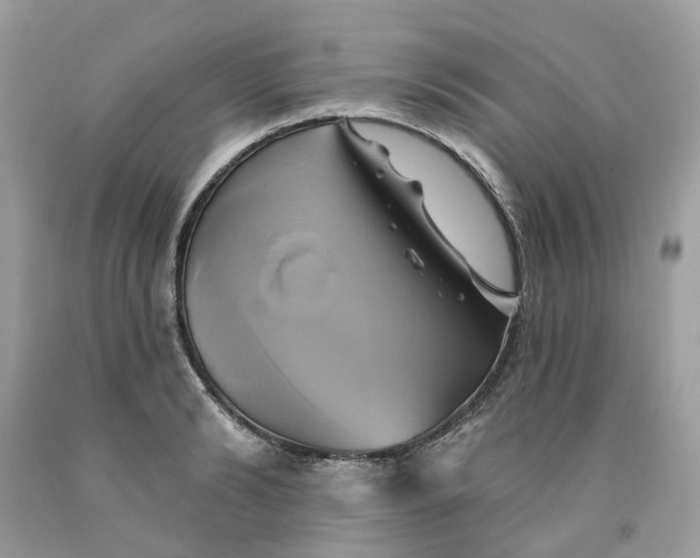 X0000091590894200709101038