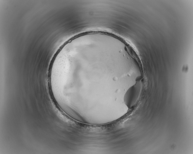 X0000091590895200709101038