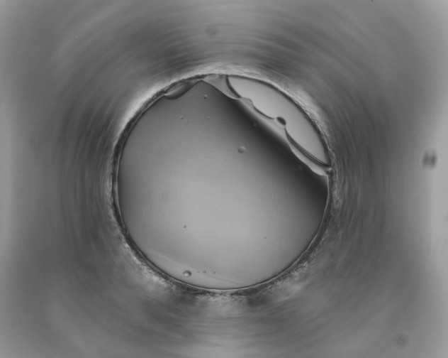 X0000091590896200709101038