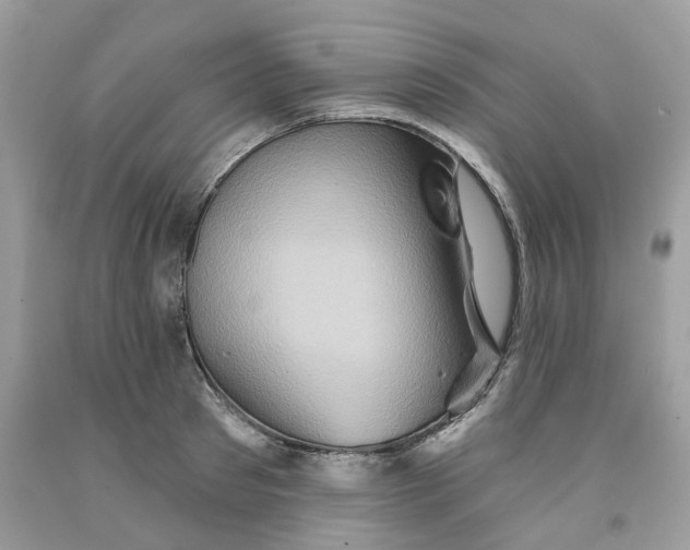 X0000091590897200709101038