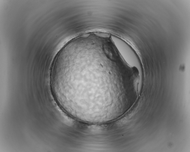 X0000091590898200709101038