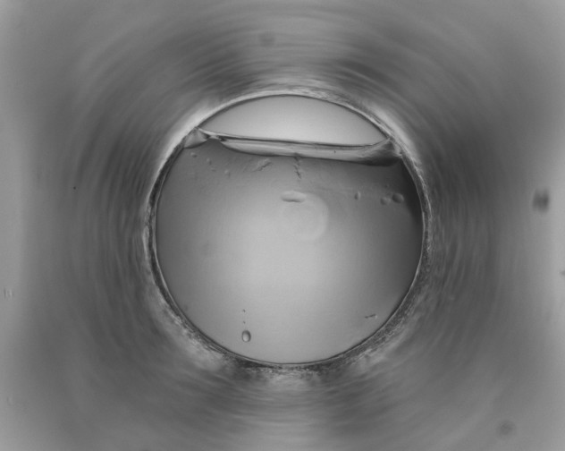 X0000091590899200709101038