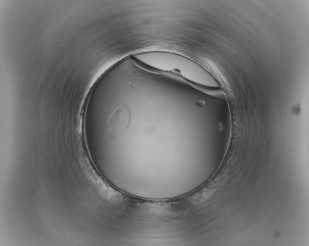 X0000091590900200709101038