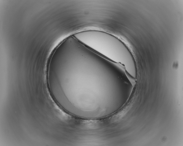 X0000091590902200709101038