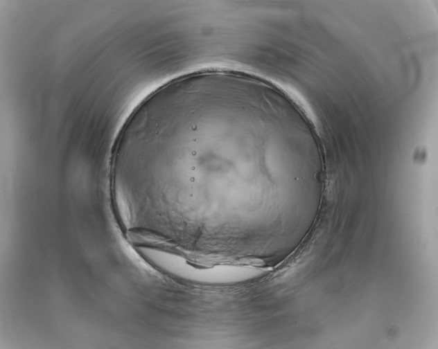 X0000091590903200709101038