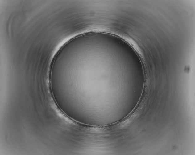 X0000091590904200709101038