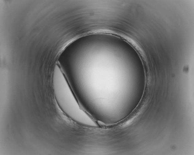 X0000091590905200709101038