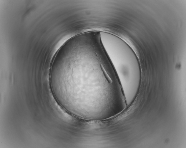 X0000091590906200709101038